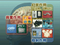 vol.2 薬物乱用と健康