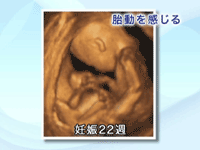vol.4 妊娠・出産と健康