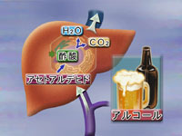 vol.1 飲酒・喫煙と健康
