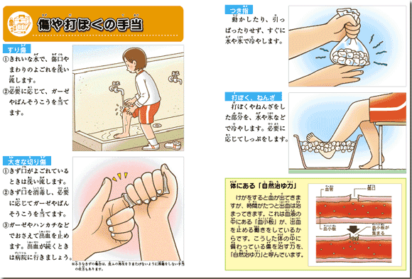 気をつけよう！けが・事故・災害　Ｐ１６－Ｐ１７