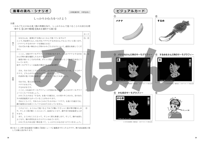 しっかり指導！　2021年　食育サポート集　保健食育新刊とおすすめ書籍　サッと使えて　２　少年写真新聞社のホームページ