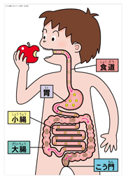 クリックして詳細をご覧ください