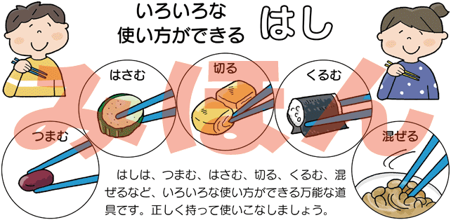 家庭とつながる 新食育ブック 食事マナーと環境 少年写真新聞社のホームページ