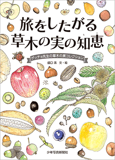 旅をしたがる 草木の実の知恵 ゲッチョ先生の草木の実コレクション 少年写真新聞社のホームページ