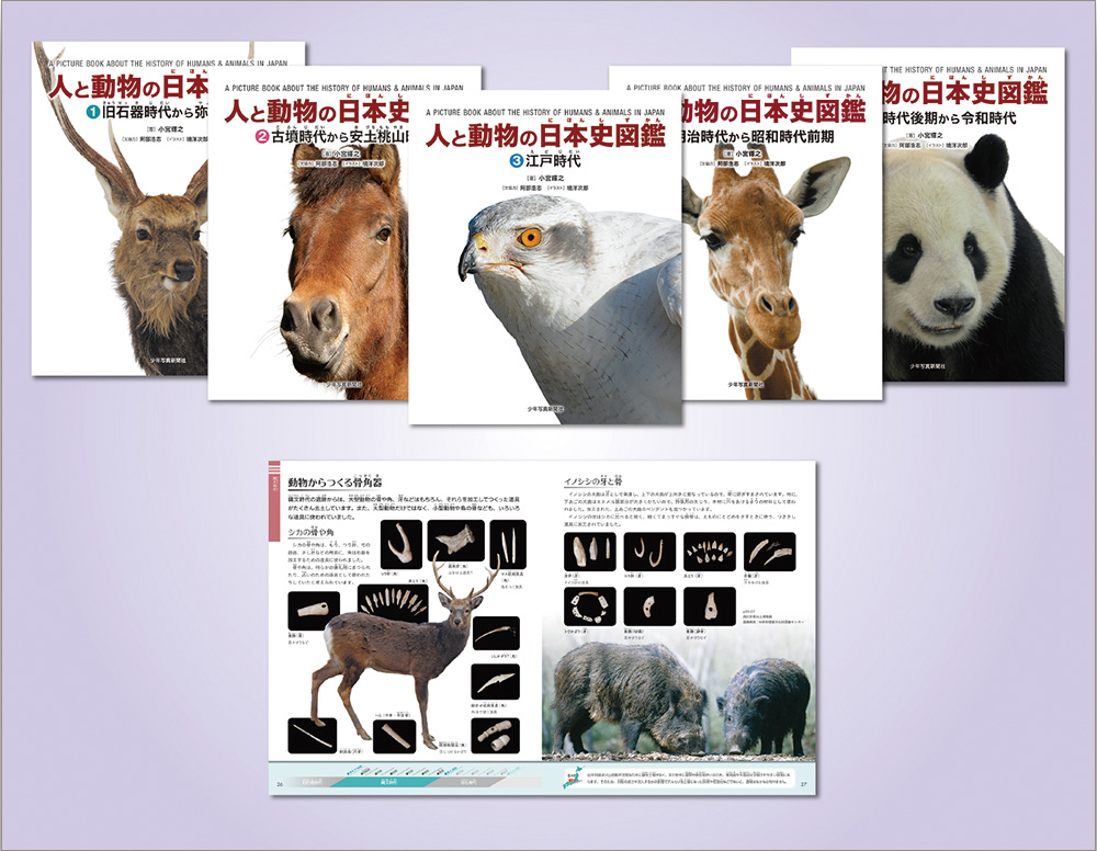 （化粧箱入り）　全５巻セット　セット書籍　人と動物の日本史図鑑　少年写真新聞社のホームページ