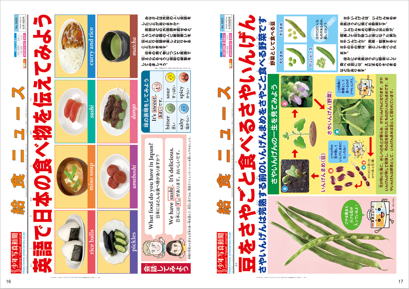 2022年　保健食育新刊とおすすめ書籍　少年写真新聞社のホームページ　給食・食育大百科　2022