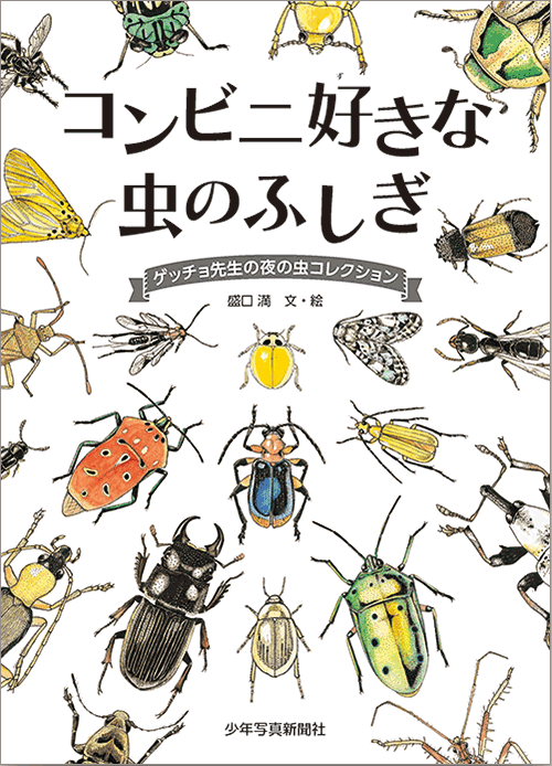 ゲッチョ先生シリーズ　少年写真新聞社のホームページ　コンビニ好きな虫のふしぎ　ゲッチョ先生の夜の虫コレクション