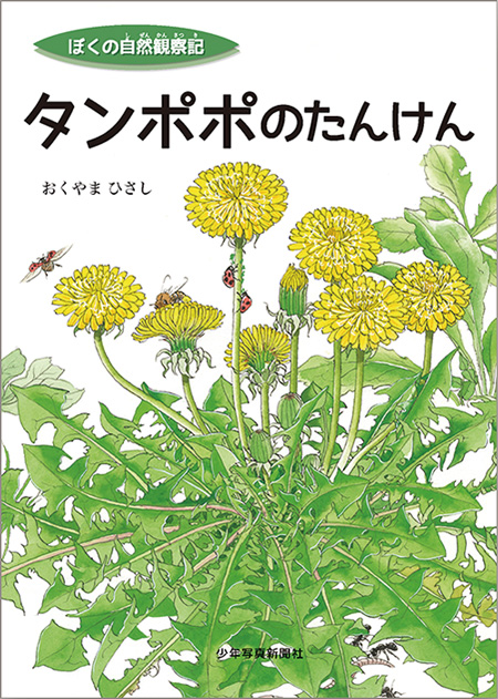 えほん　ぼくの自然観察記　タンポポのたんけん　少年写真新聞社のホームページ