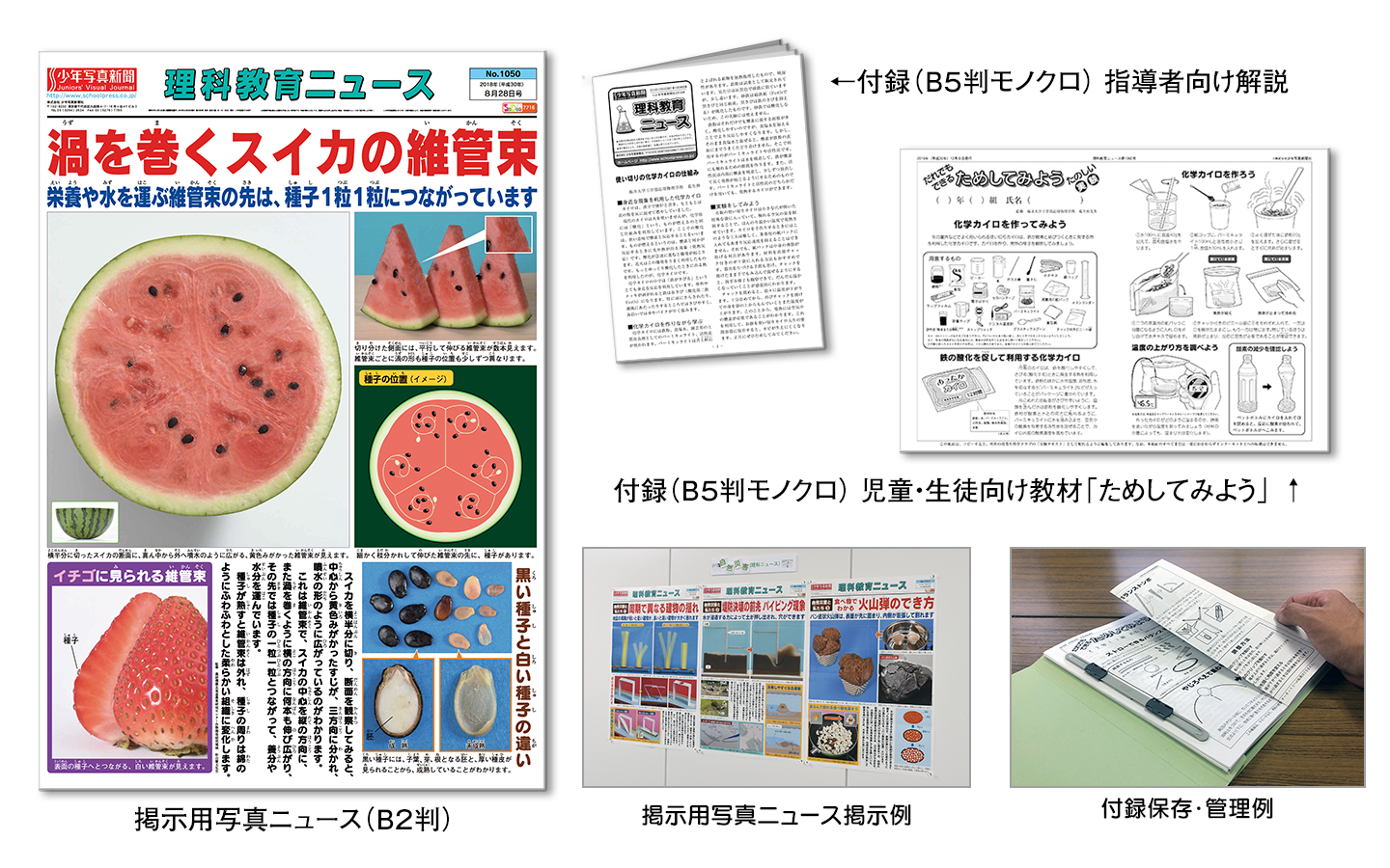 理科セット