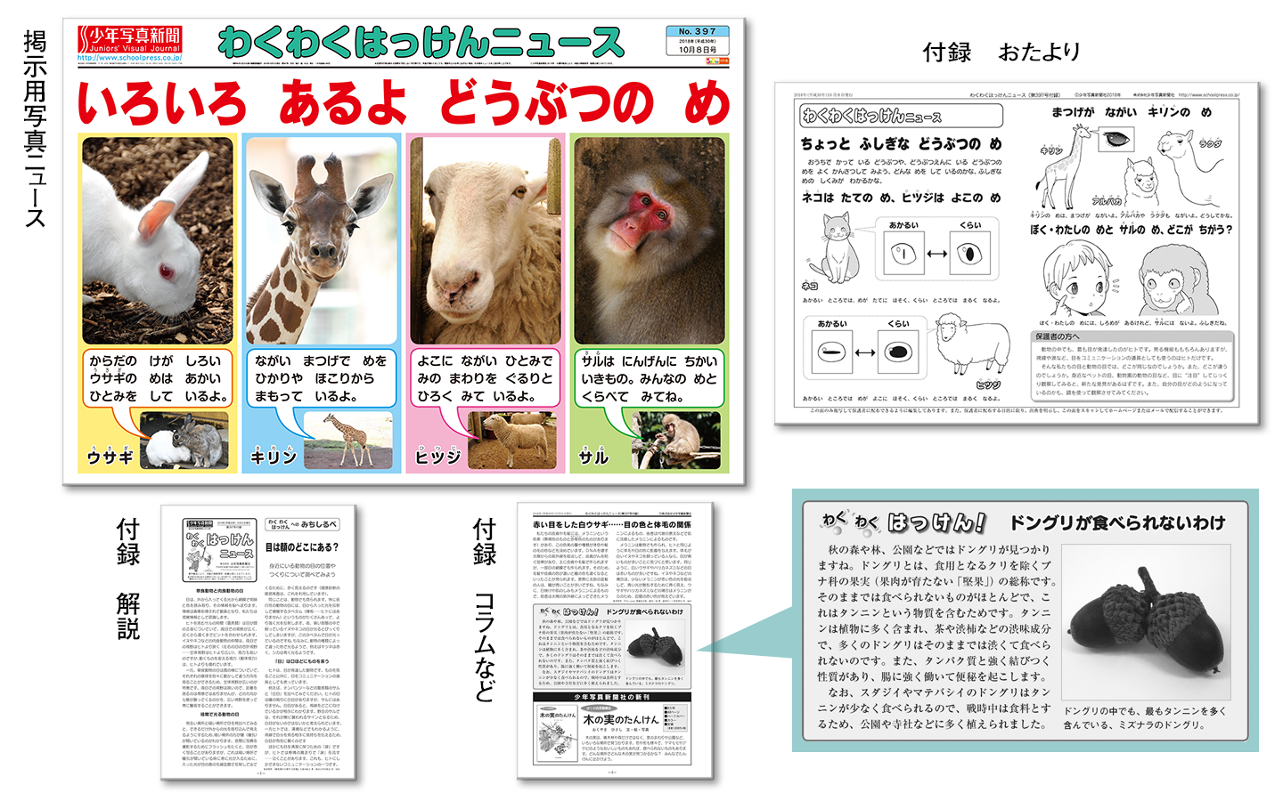 わセット